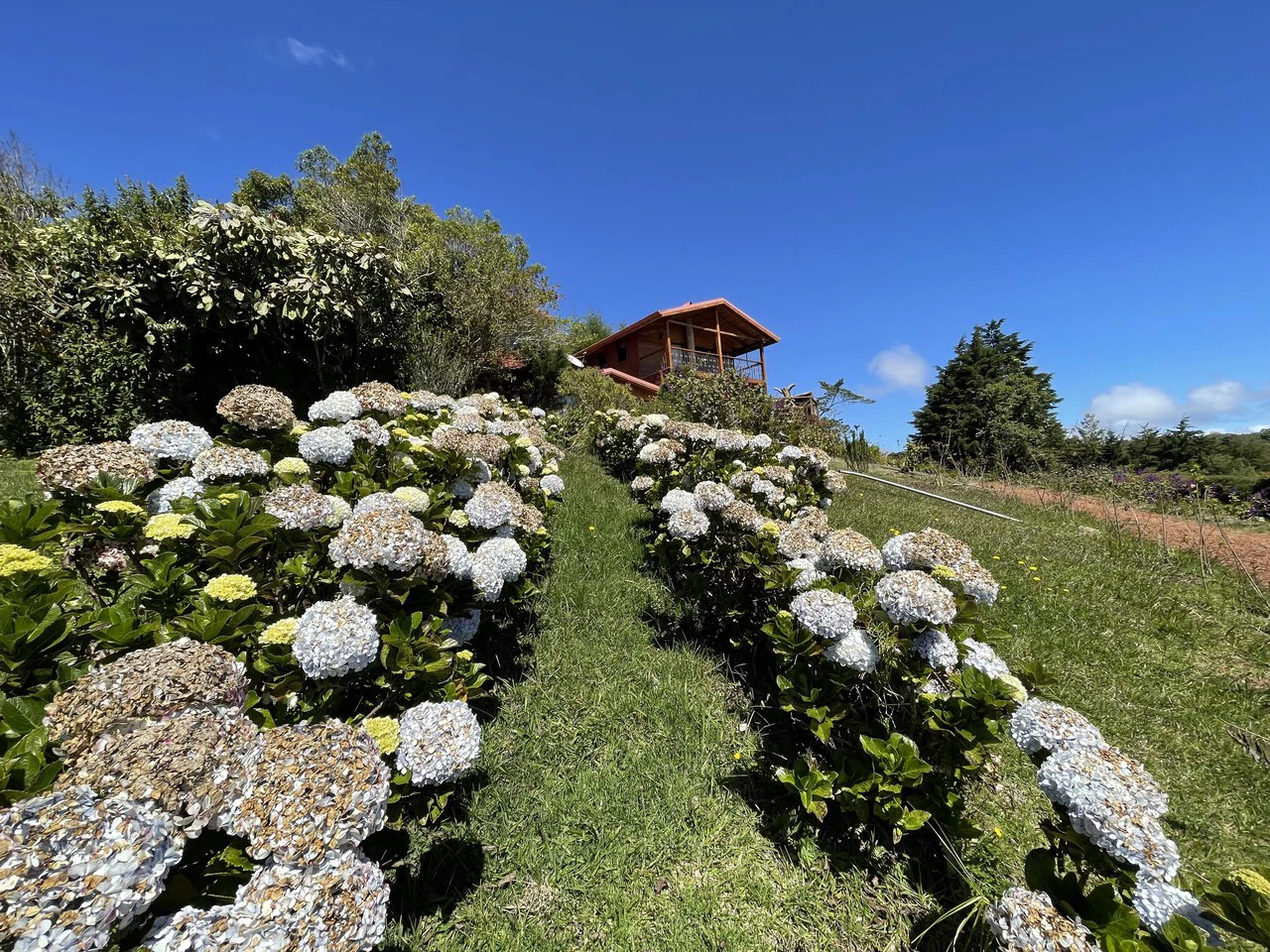 Poasito cottage: Poasito, Alajuela views cottage for sale - Gallery image 16