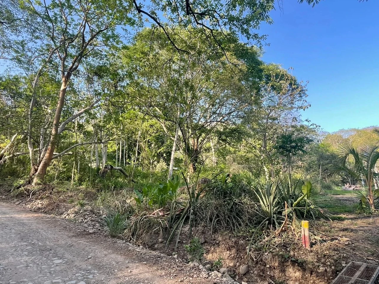 1,000 m² (0.25 acres) BEACHSIDE LOT. $75,000 USD Lot for Sale in Playa Órganos, Costa Rica - Gallery image 3