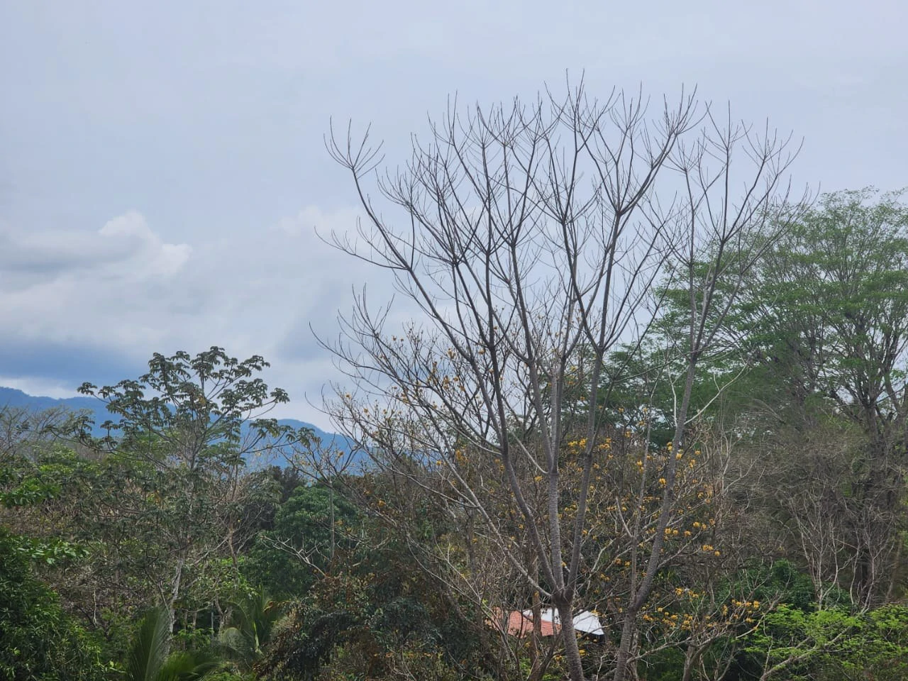 Countryside and Mountain Home Construction Site For Sale in San Juan de Mata - Gallery image 4