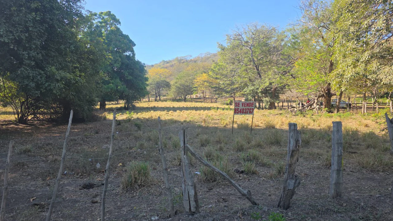 3 Commercial lots for sale in Artola with 70 m of public road frontage - Gallery image 6