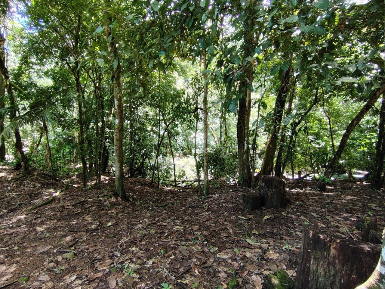 TERRENO EN VENTA, PUNTARENAS.: Mountain Home Construction Site For Sale in Hatillo - Gallery image 13