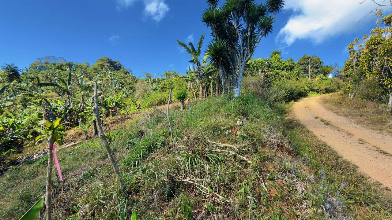 Countryside Home Construction Site For Sale in San Rafael - Gallery image 6
