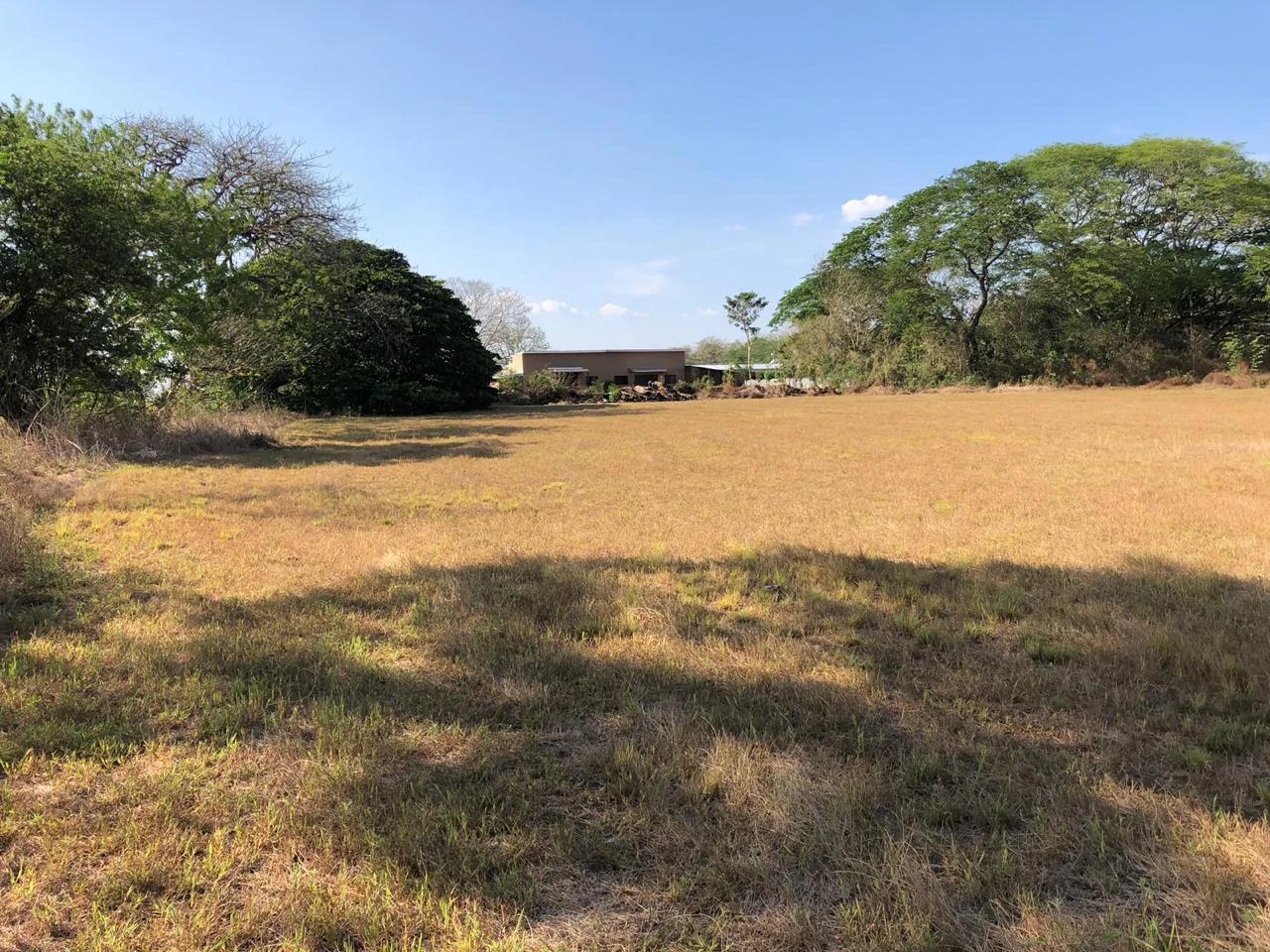 Large property with warehouses in Filadelfia, Carrillo - Gallery image 6