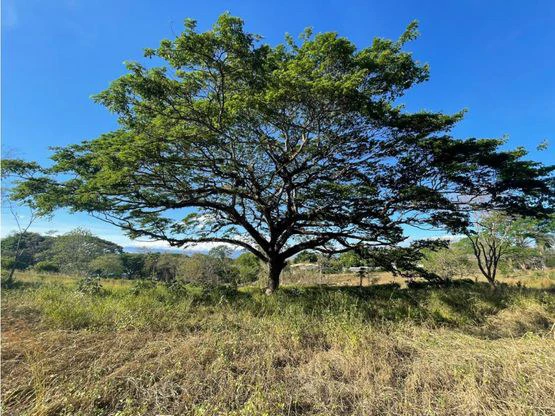 For Sale: This beautiful flat lot in La Ceiba of Orotina