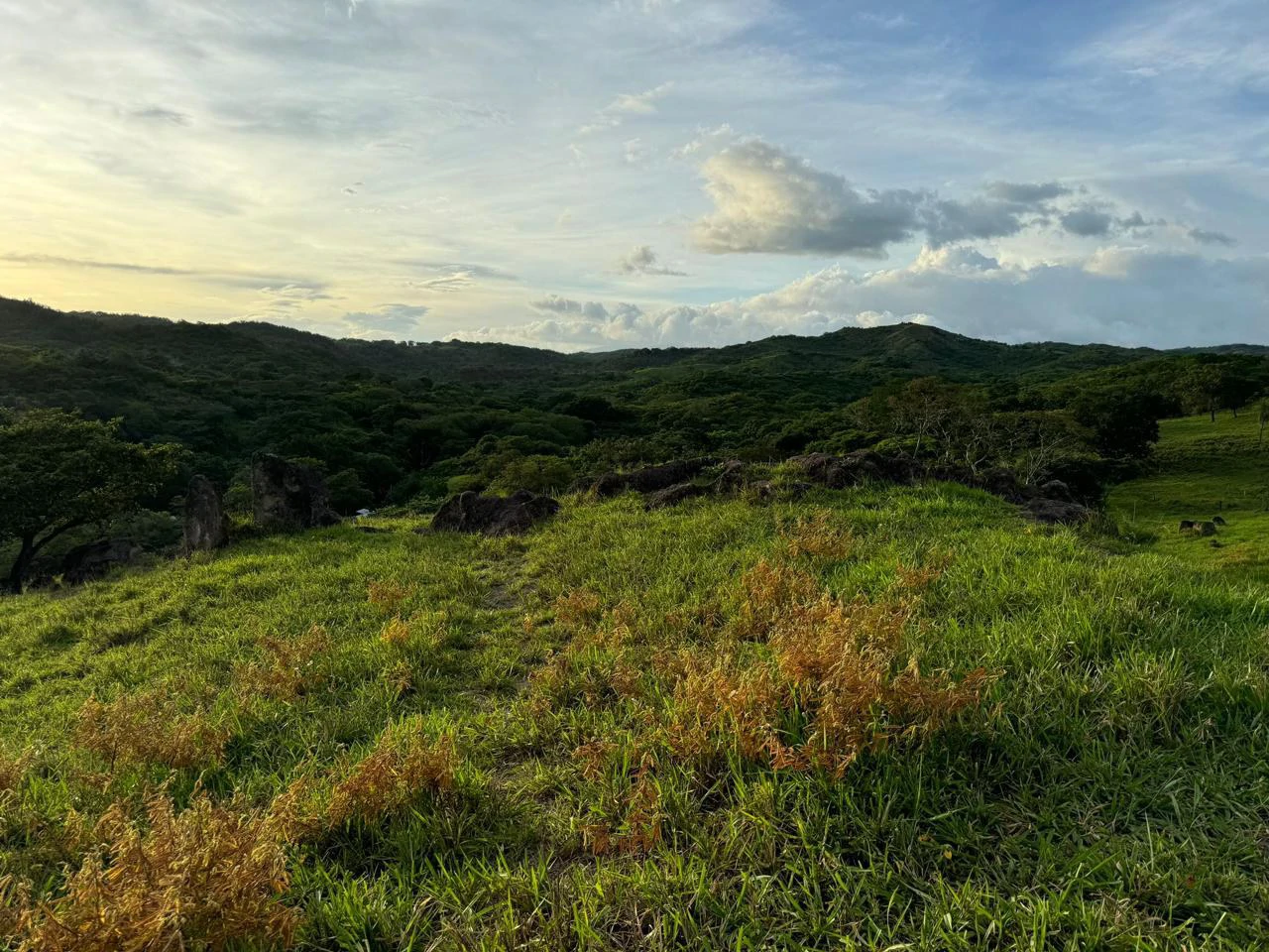 Natural beauty meets Tranquility!: 70,000m2 in Growing Geothermal Eco-Tourism area! - Gallery image 12