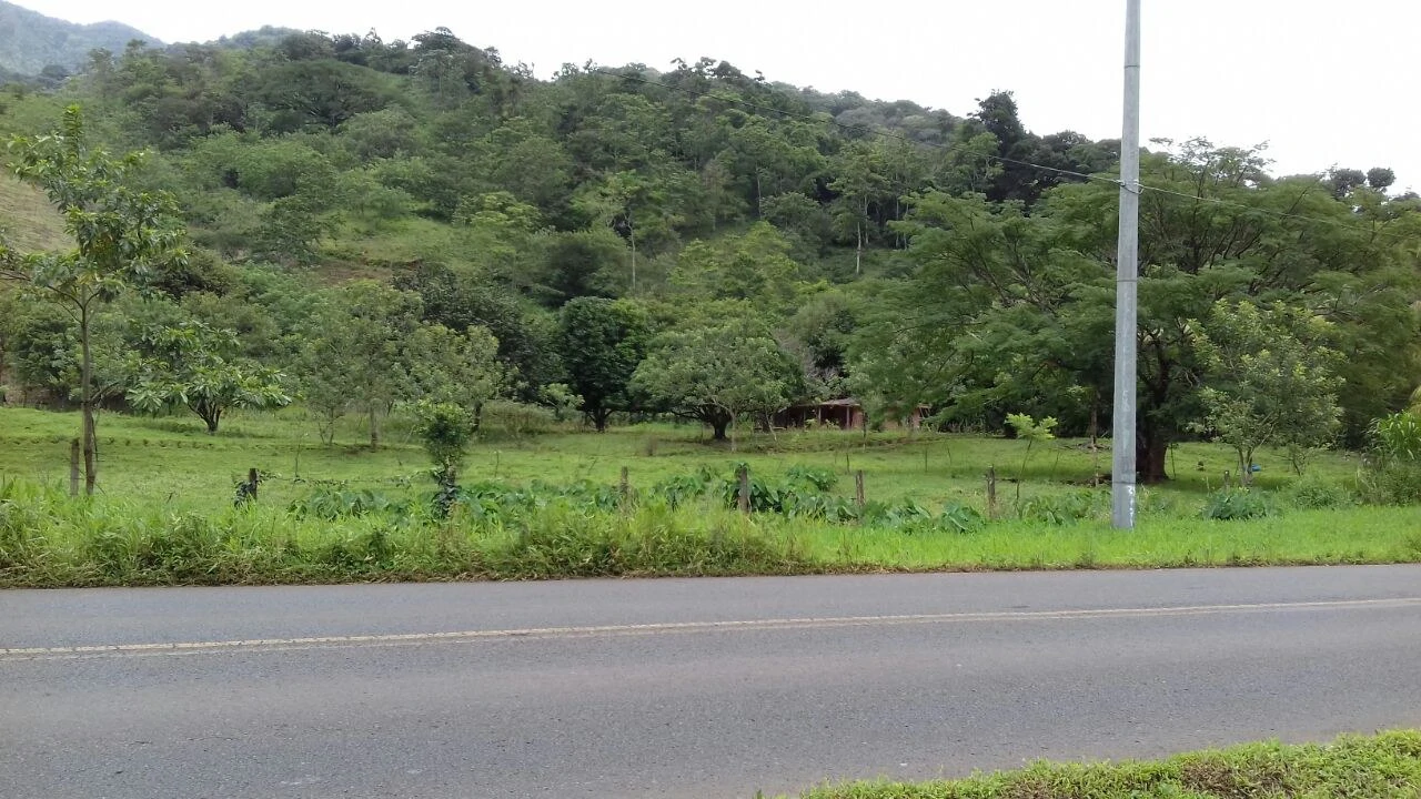 Big property with small house in Bijagua - Gallery image 3