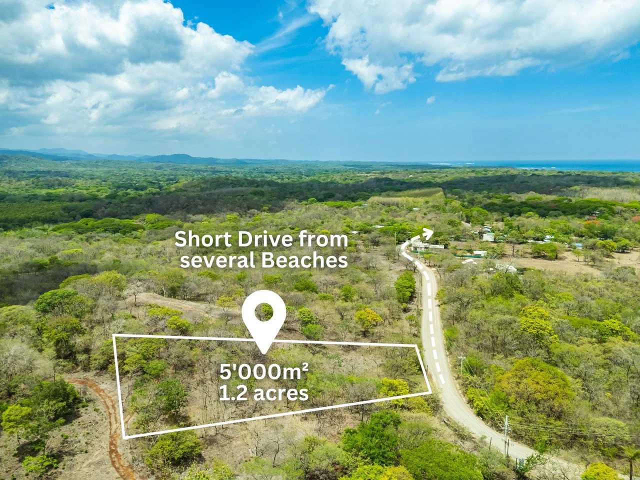 Pura Jungla Lots: Expansive Lots with Water Availability in Los Pargos - Gallery image 5