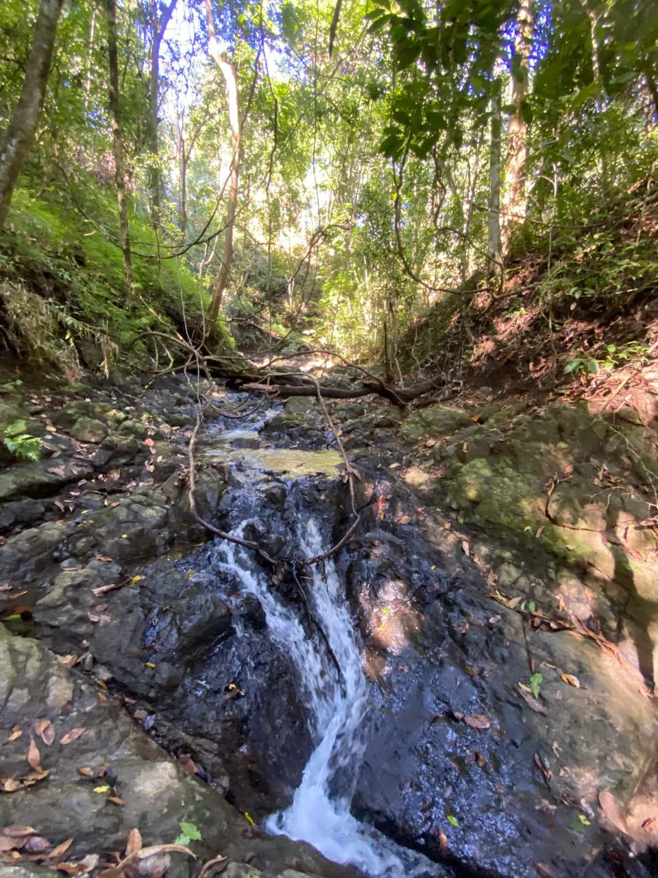 6000m2 Land Near Montezuma and Santa Teresa: ixed use, commercial and residential - Gallery image 6