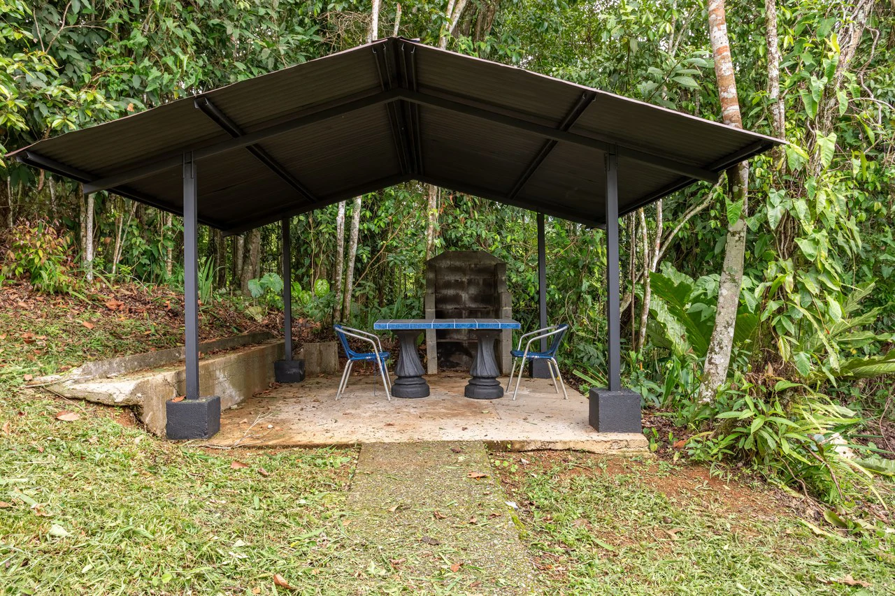 Expansive 27 Acre Farm with Residence in San Isidro del General - Gallery image 51