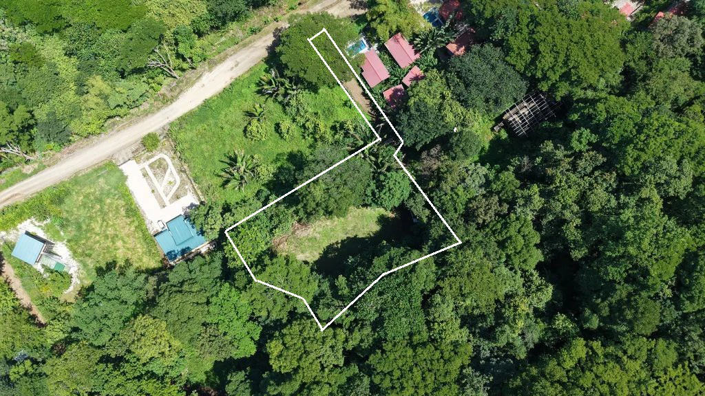Lote Vista Montaña: Elevated Lot with Mountain and Jungle Views in Buena Vista, Just Minutes from Samara Beach