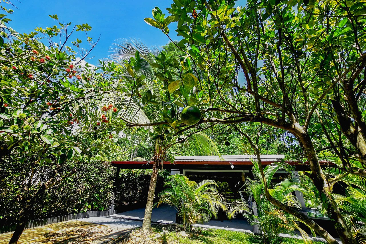 Near the Coast House For Sale in Uvita - Gallery image 16