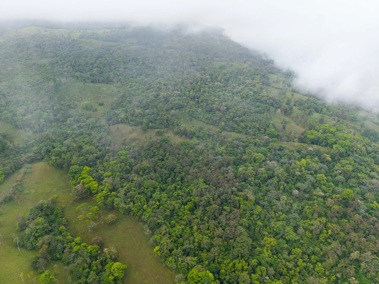 Finca Las Zompopas-Río Celeste: 113-Acre Biodiverse Property in Bijagua, Ideal for Eco-Tourism, Private Retreats, or Sustainable Development - Gallery image 20