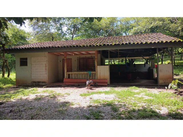 Tamarindo horse farm with two houses, a barn in the best natural setting - Gallery image 50