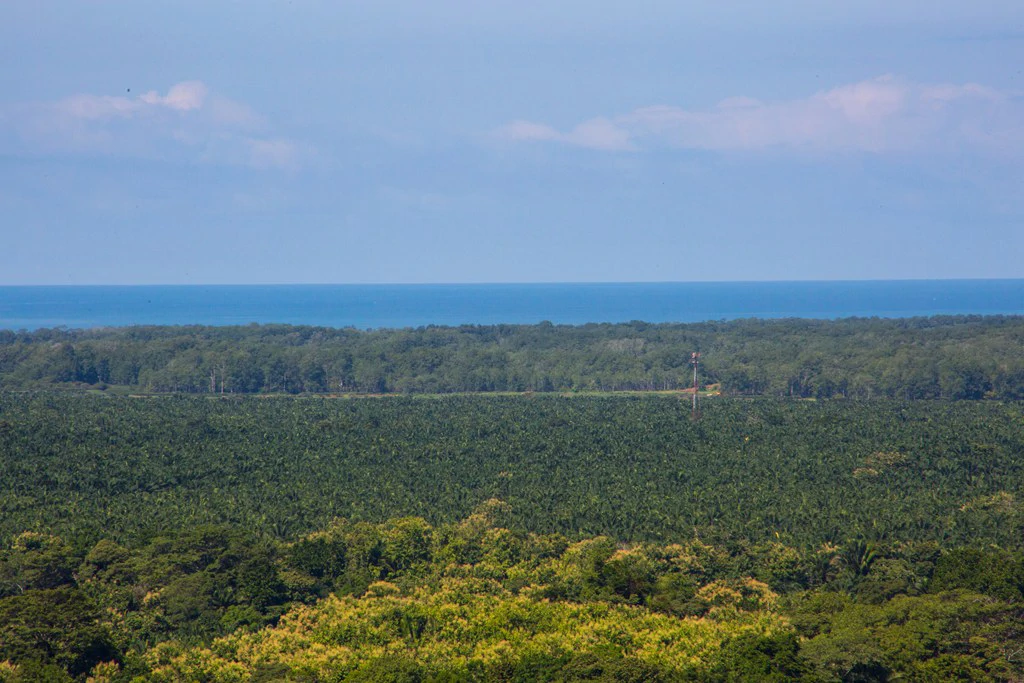 Casa Vista Hermosa: Nature refuge near Manuel Antonio National Park - Gallery image 16