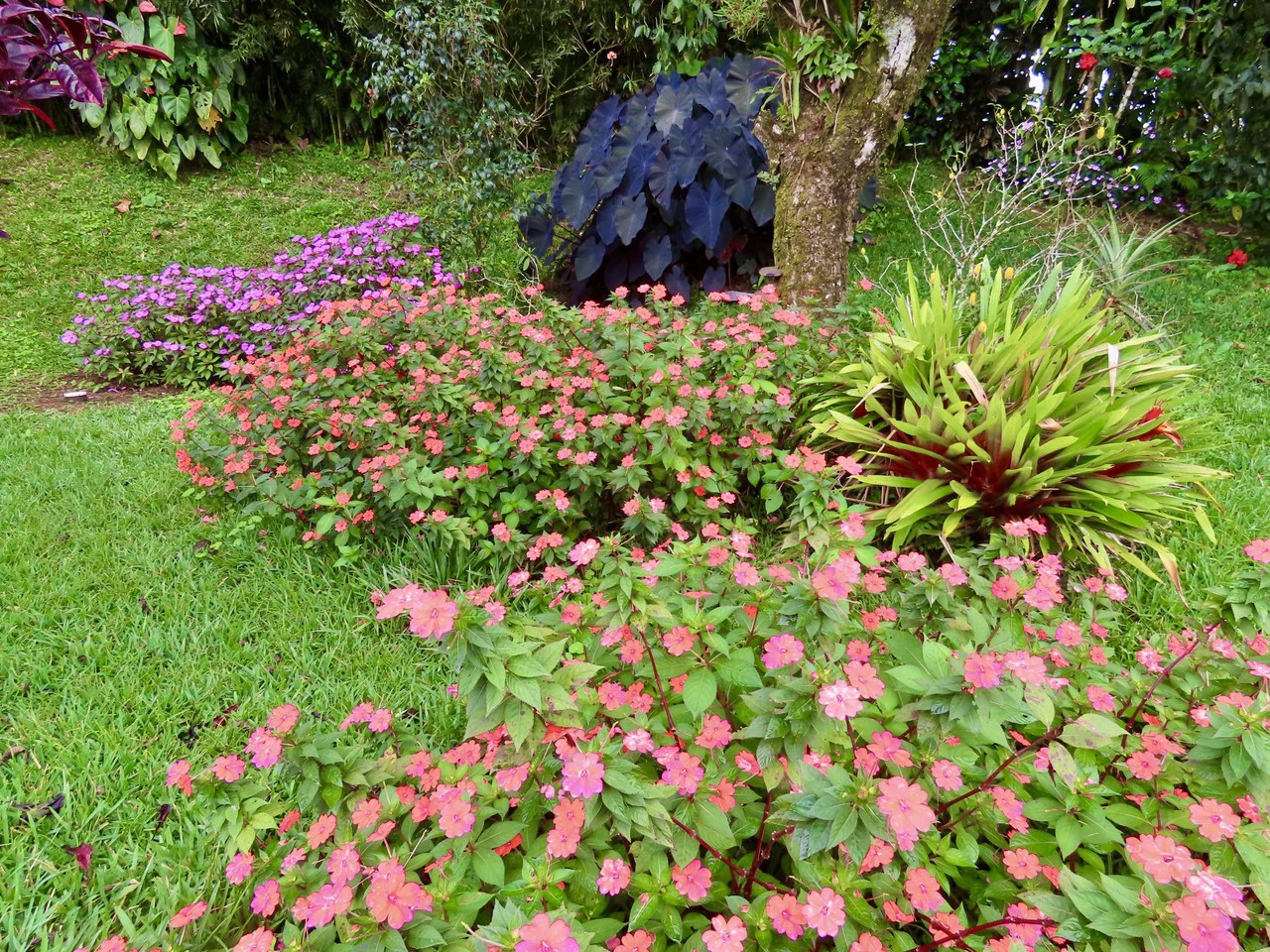 CASA  TROPICANA - Lake View Oasis Near Nuevo Arenal - Gallery image 78