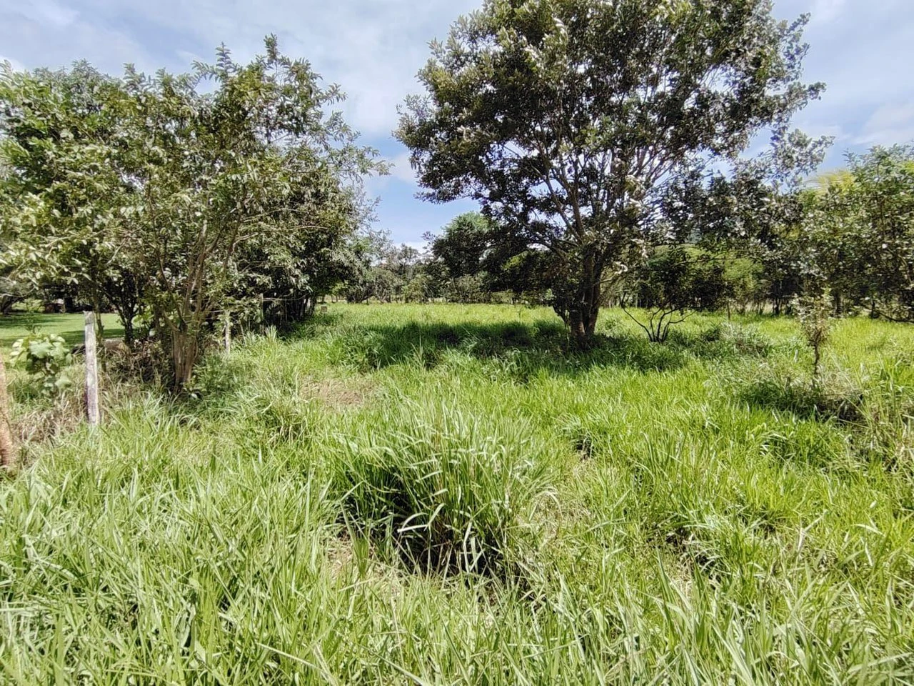 Se vende propiedad en el Rosario Pacuar, Pérez Zeledón.: Countryside Home Construction Site For Sale in Daniel Flores - Gallery image 7