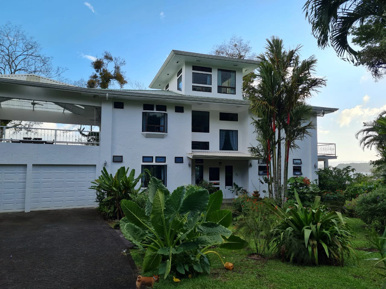Villa Corazon: Unique LAKE FRONT property, 2 Villas and Tiny house on 5 acres with lake access. - Gallery image 13