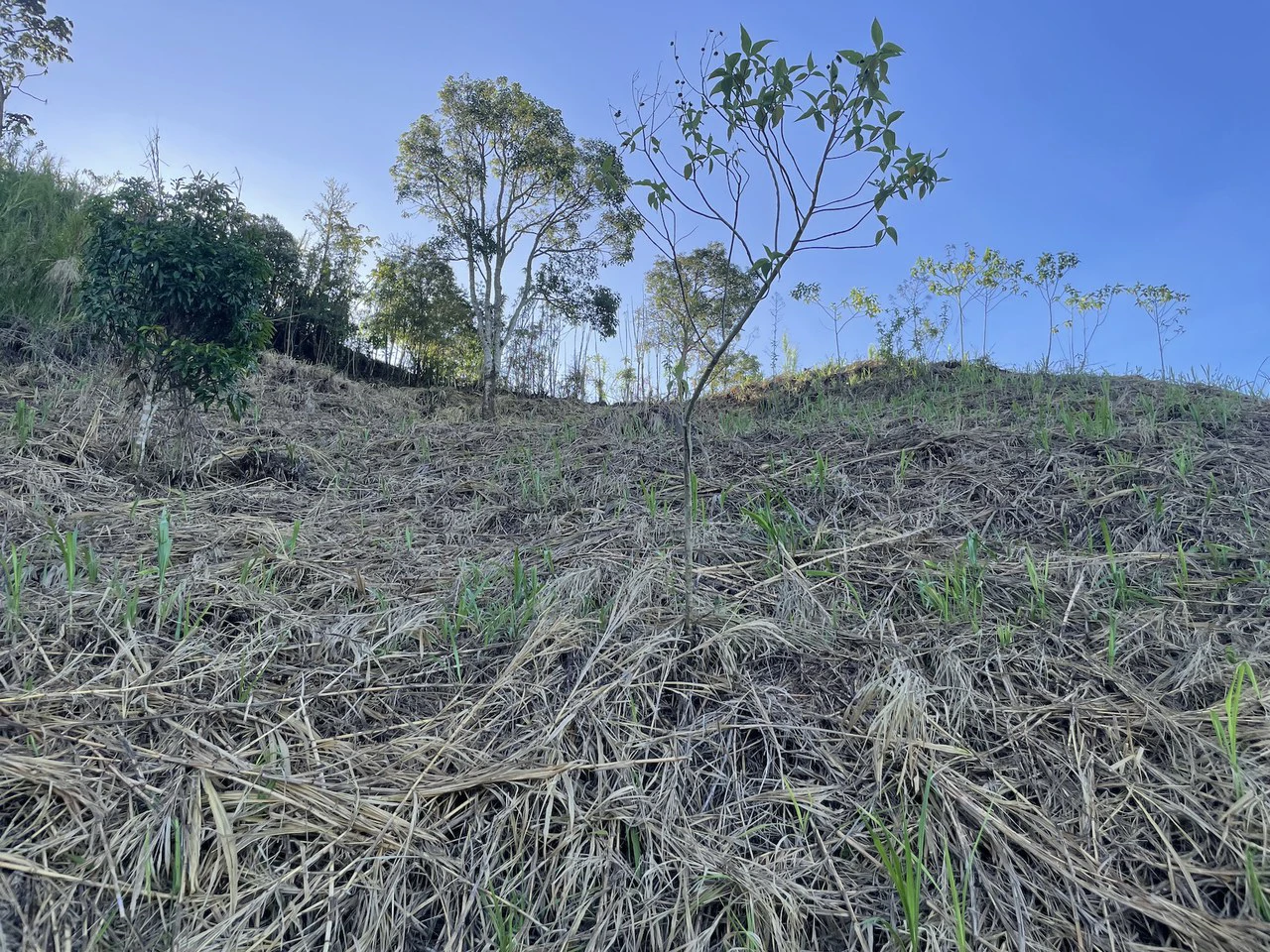 Eco-Lot #16: Ready-to-Build Sustainable Haven with Gulf & Mountain Views - photo 4