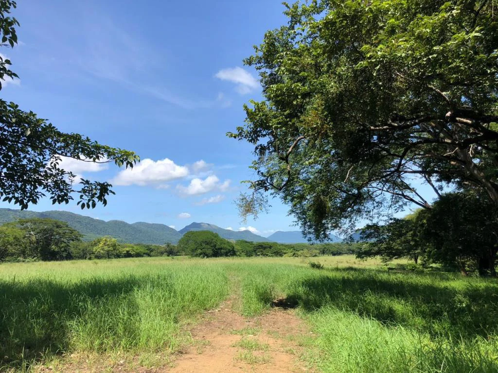 Huge dream Cattle farm for sale with 2 houses close to the Gulf of Nicoya, Guanacaste, Costa Rica - Gallery image 35