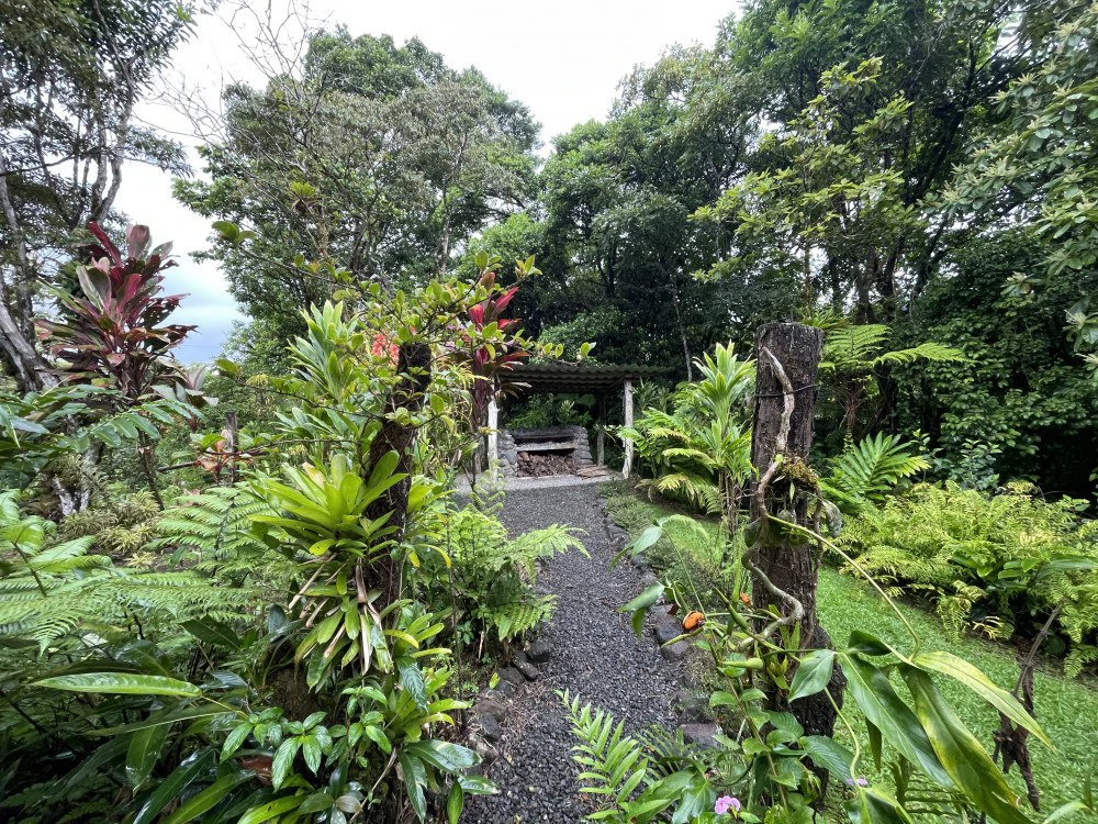 Nuevo arenal: Looking for a Property to Develop Family Residences with Lake Views? - Gallery image 7