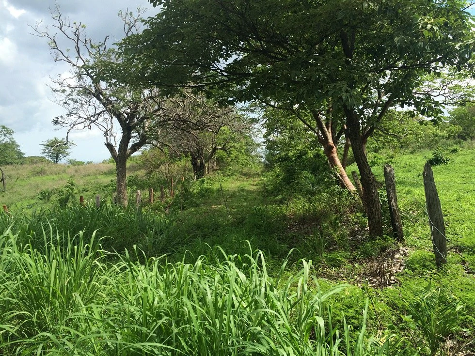 Mountain Property for Sale with charming 360º views of Guayabos Valley and the Volcanoes - Gallery image 7