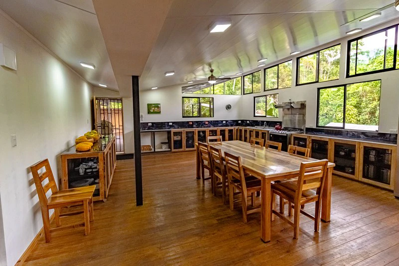 Casa San Pedrito: Beautiful house for sale in San Pedrito,(1,3hect) Perez Zeledon - Gallery image 19