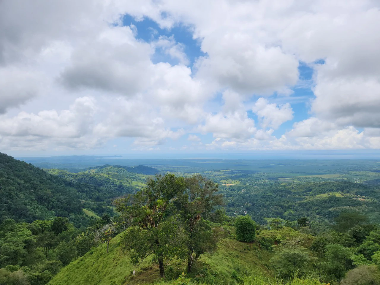PRIME PARRITA FARM FOR SALE - Gallery image 51