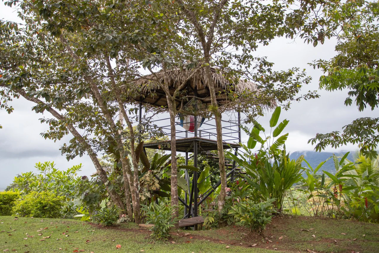 Ocean View Home Perezoso Road, Ojochal - Gallery image 55