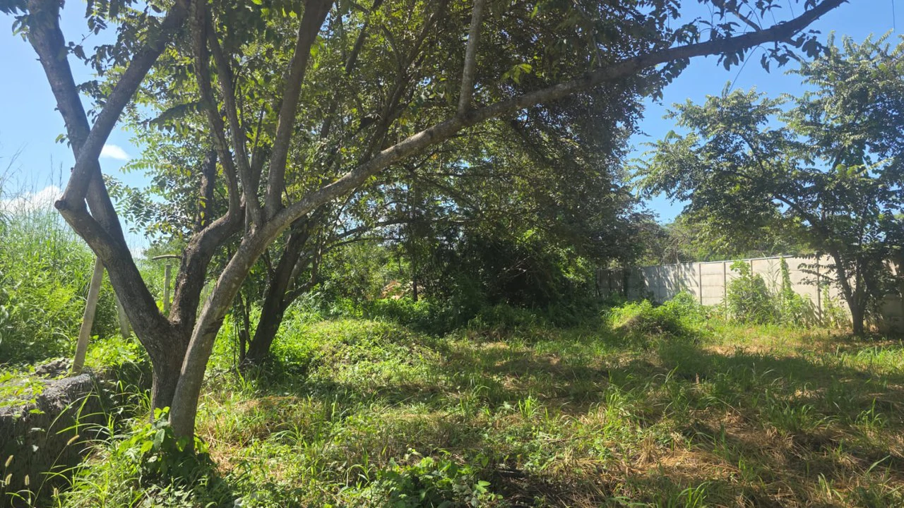 Commercial Airport property for sale with public road frontage on route #21, close to Liberia International Airport - Gallery image 5