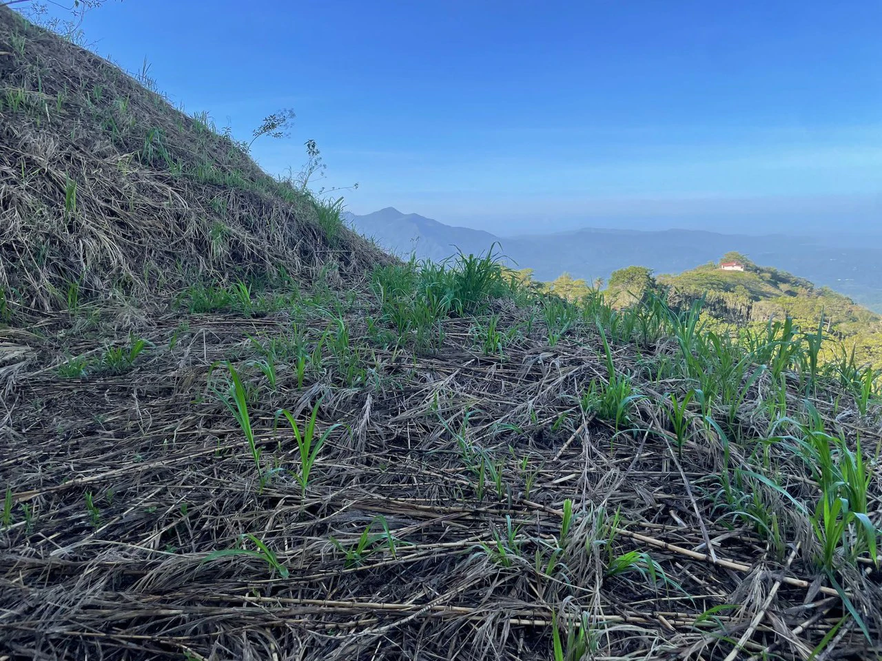 Eco-Lot #15: Ready-to-Build Sustainable Haven with Gulf & Mountain Views - photo 8