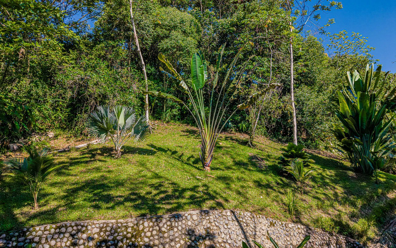 Off Grid Luxury Estate Micro Regenerative Homestead Tinamastes - Gallery image 86