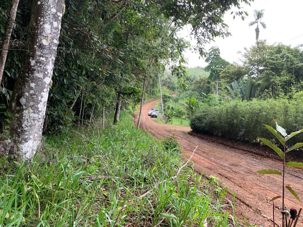 Ocean View Forest Reserve with Private Homesite Near Tinamastes - Gallery image 19