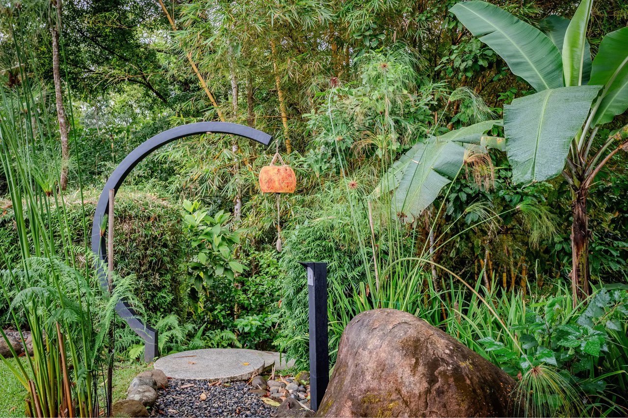 The Glass House. Sustainability, Luxury and Nature. - Gallery image 52