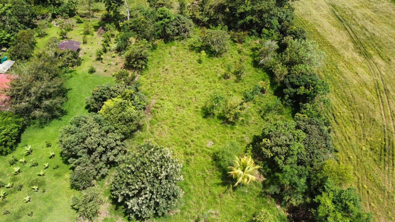 Se vende propiedad en el Rosario Pacuar, Pérez Zeledón.: Countryside Home Construction Site For Sale in Daniel Flores - Gallery image 11