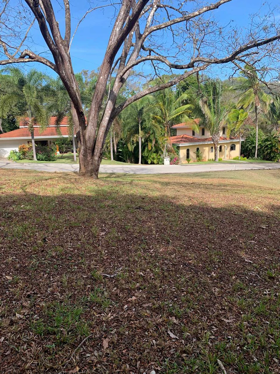 ID 4024: Ready to build in a Luxury Gated Community in PLAYA SAMARA - Gallery image 5