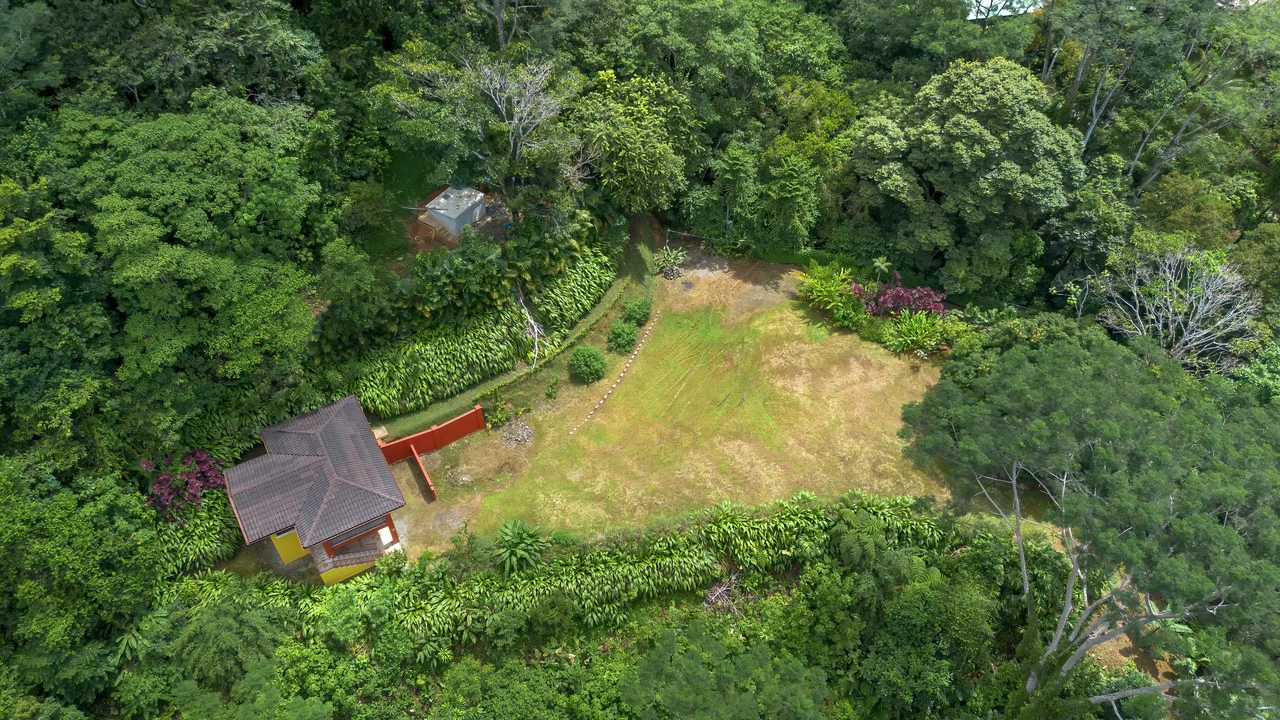 Build-Ready Ocean View Land with Guest House & Fruit Orchard | Tres Rios, Costa Rica - Gallery image 17