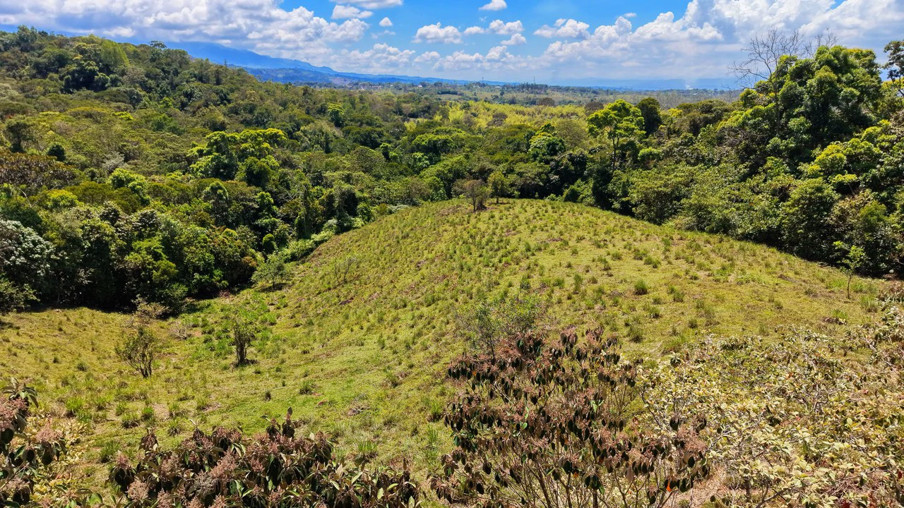 Agricultural Land For Sale in MORAZAN - Gallery image 2