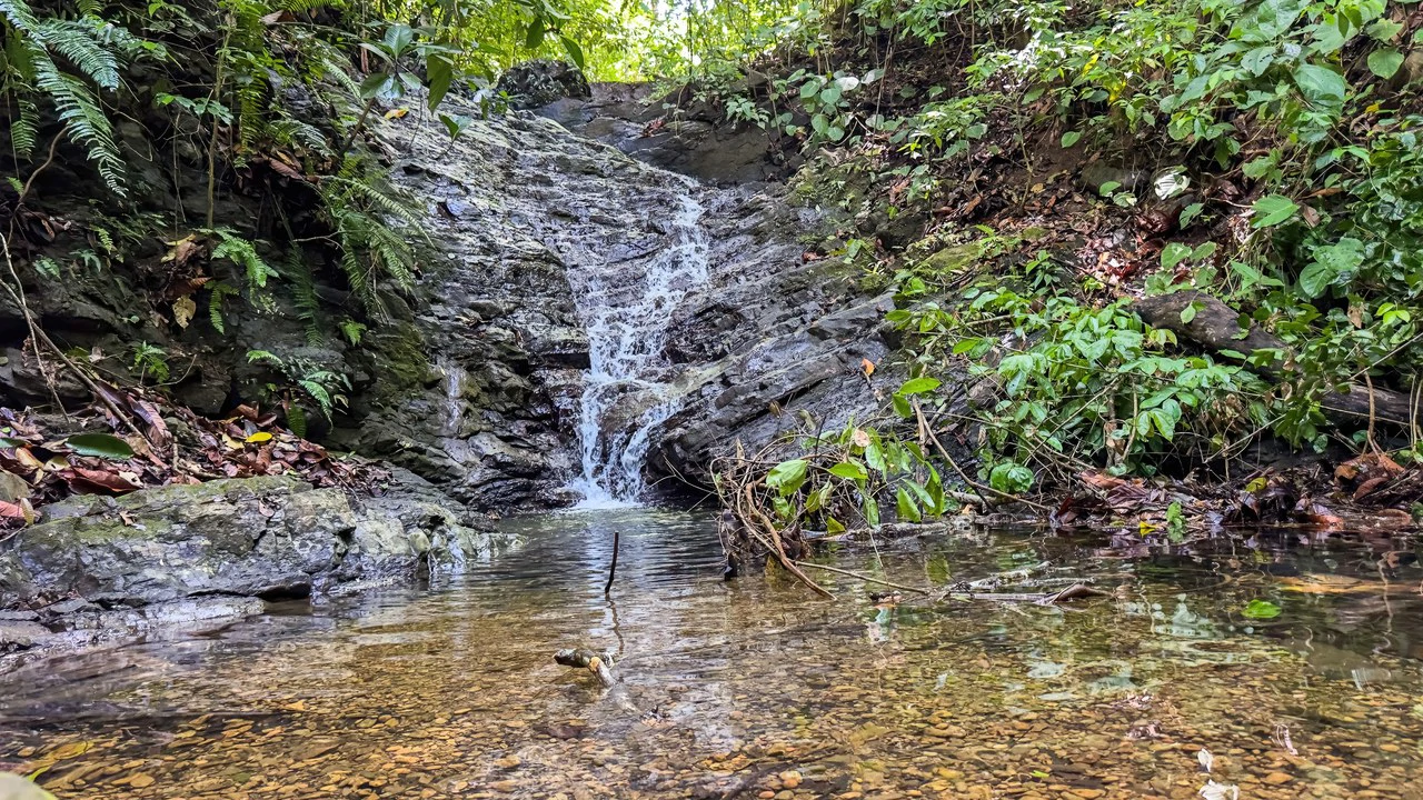 60+ Hectares in Platanillo | Own Your Own Mountain in Costa Rica - Gallery image 42
