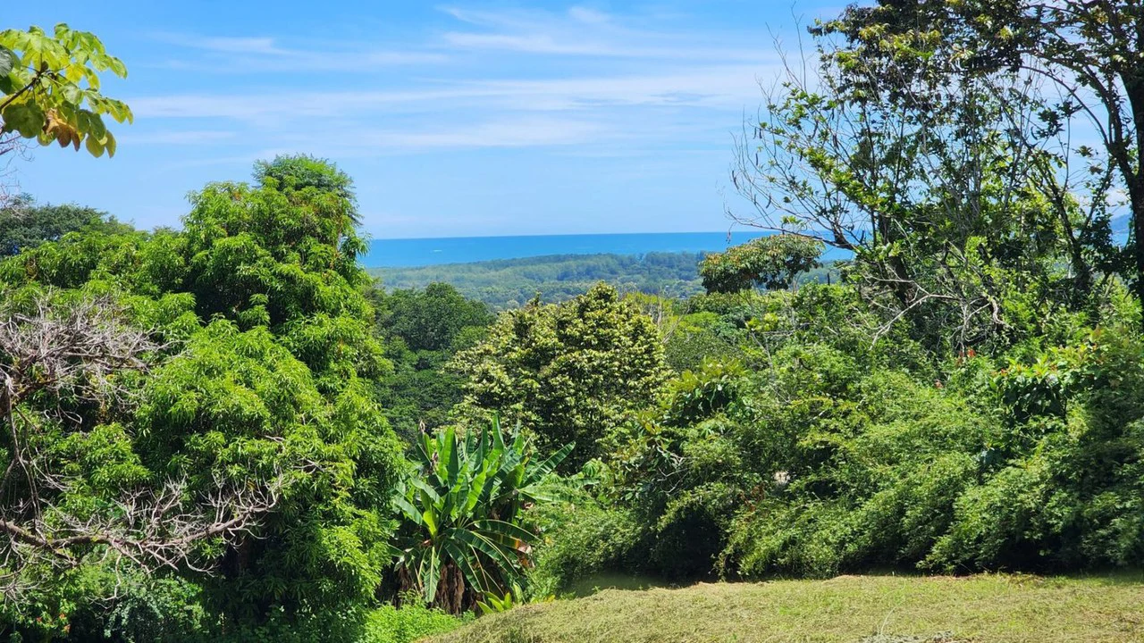 1.25 ACRES – Stunning Ocean View Oasis: Exclusive Property With Premium Amenities!!!! - Gallery image 4
