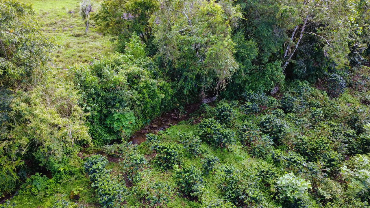 Countryside Agricultural Land For Sale in Santa Elena de San Isidro - Gallery image 6