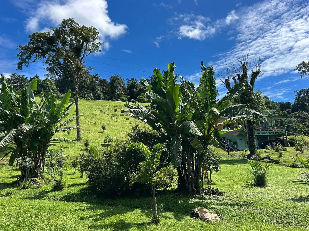 THE HOMESTEAD - Off-Grid Eco-Paradise for Sale in Nuevo Arenal, Costa Rica.