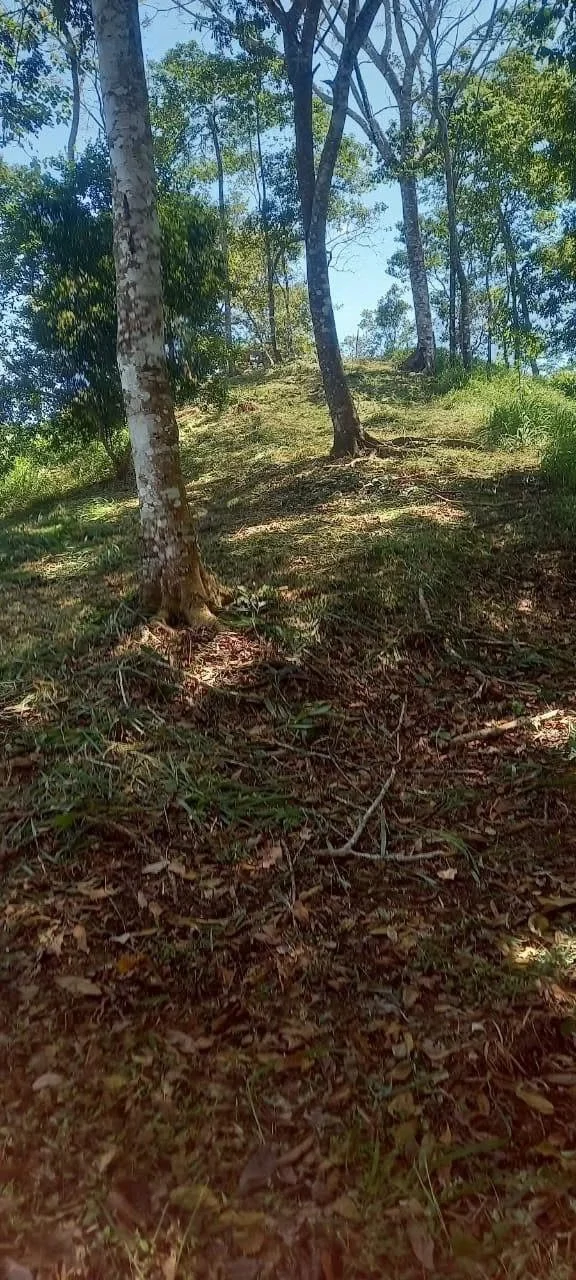 58 hectares: Ocean View Development Land for Sale in Tambor Costa Rica – 58 Hectares on the Nicoya Peninsula - Gallery image 15