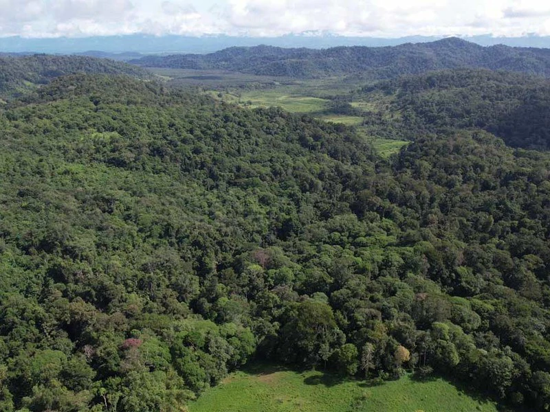 69.16 Acres Property | Mountain & Top Ocean View with Small Home - Gallery image 6