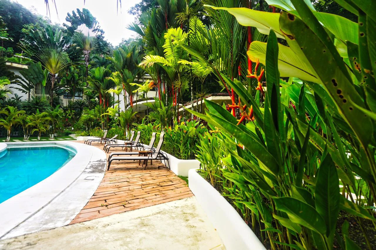 VILLA #1: Luxury apartment overlooking the beautiful forest, on the second level with 2 bedrooms for sale - Gallery image 33