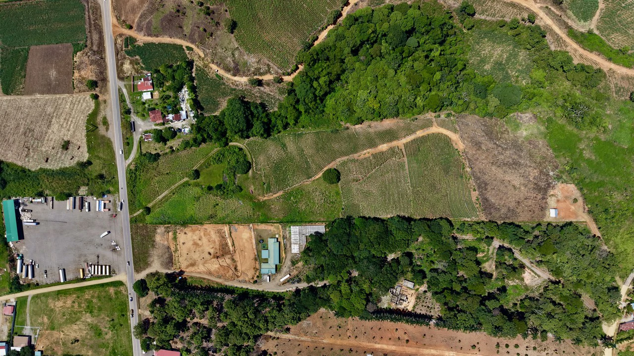 Development Parcel For Sale in Daniel Flores - Gallery image 19
