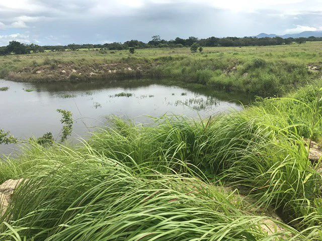 Large Development Land for Sale in Liberia, Guanacaste, Costa Rica - Gallery image 48