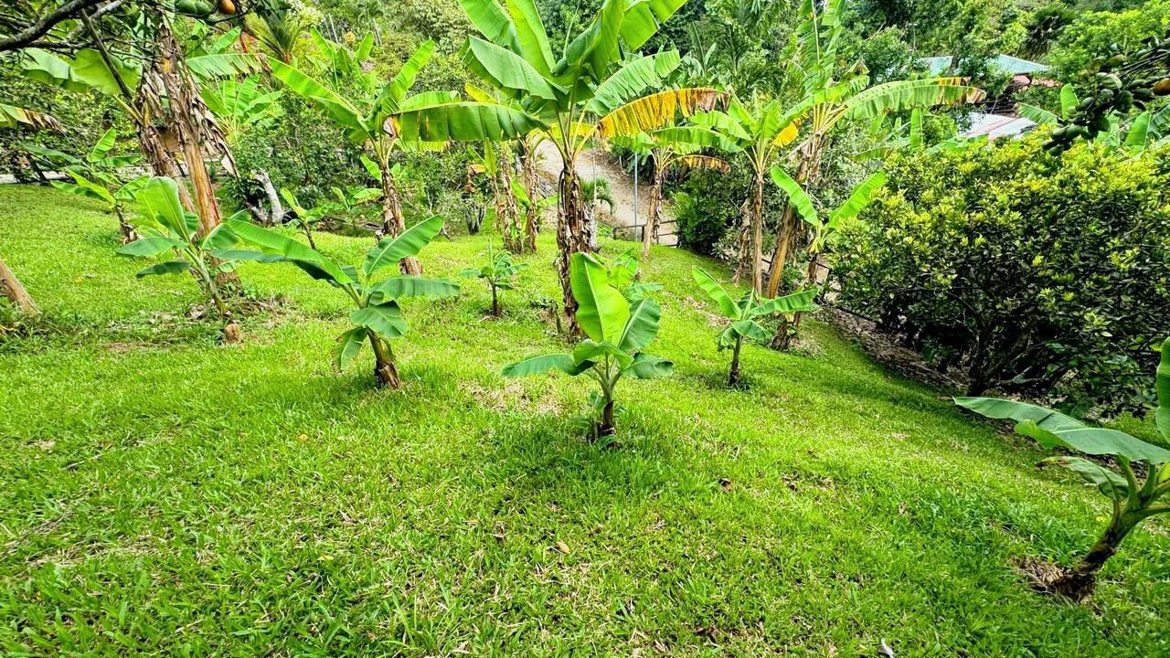 Charming Hardwood Cabin with Fruit Garden Near San Isidro - Gallery image 62