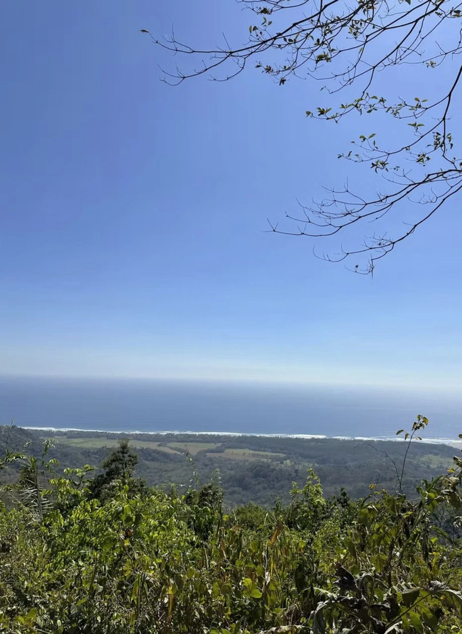 Ocean view farm for sale Costa Rica San Miguel Beach Costa de Oro - Gallery image 9