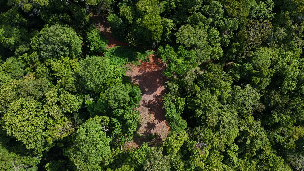 Spectacular Ocean view on 7.7 acres: Mountain Home Construction Site For Sale in Bahía Ballena - Gallery image 21