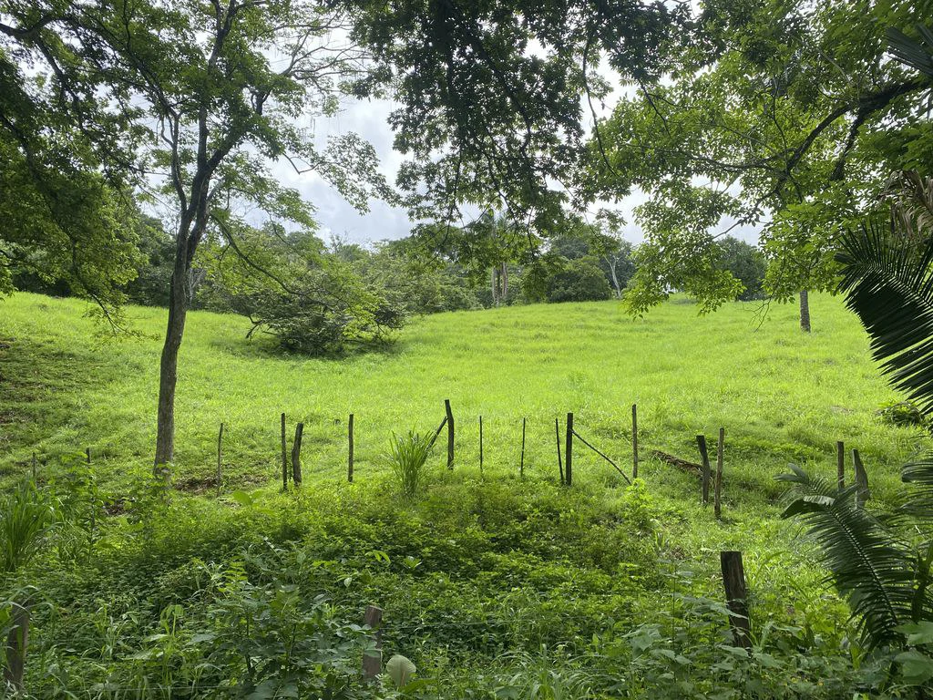 Finca Rio El Carmen: 3 HA Finca with Elevation Across from Renowned Rio Ora, 1 HA parcels available, Three 1700 m2 lots - All available in Rustic El Carmen - Gallery image 13